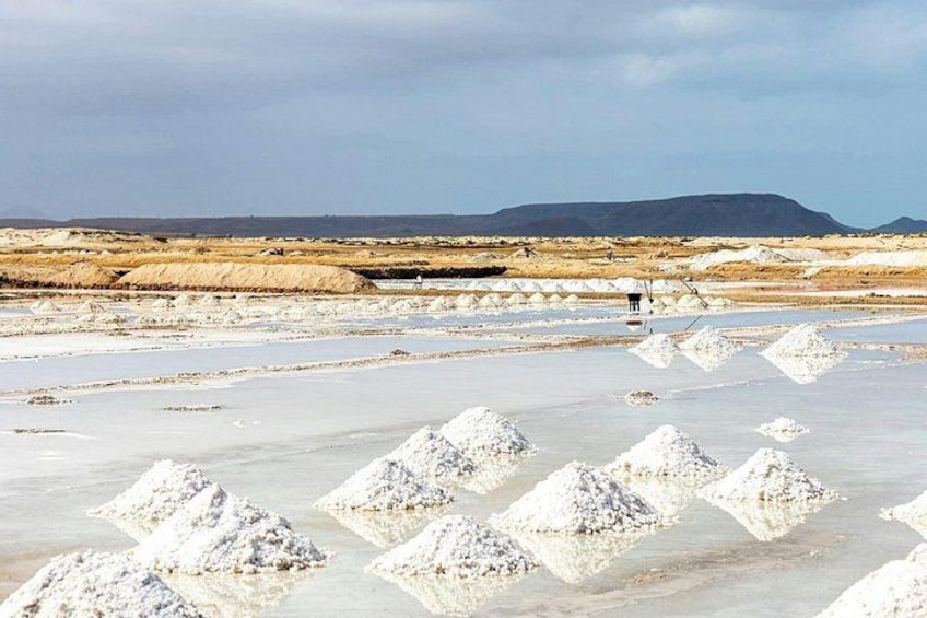 A salt flat with white salt formations and a distant mountain range. 3
