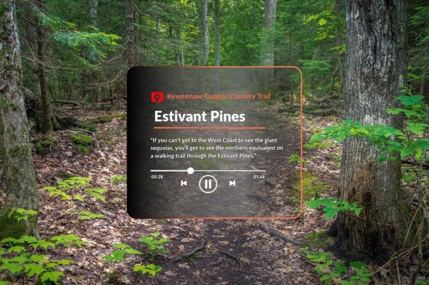 A sign in a forested area with the text 'Keweenaw Copper Country Trail Estivant Pines' and a description of the trail. 2