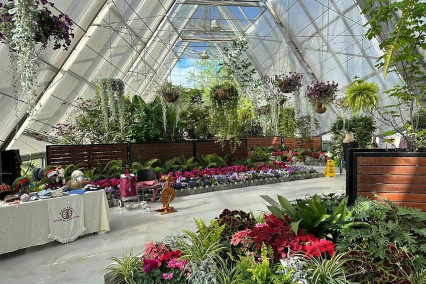 A greenhouse with hanging plants, a wooden bench, and a table with items on it. 4