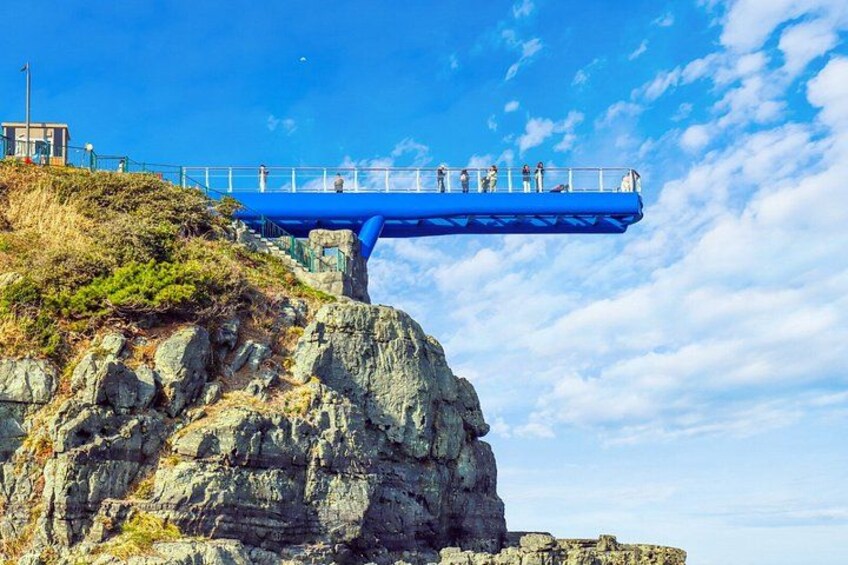 Beach Train, Gamcheon Village and Oryukdo Skywalk from Busan 4