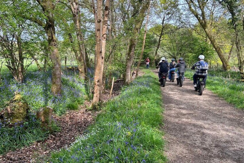 A group of people riding motorcycles on a dirt path surrounded by trees and wildflowers. 2