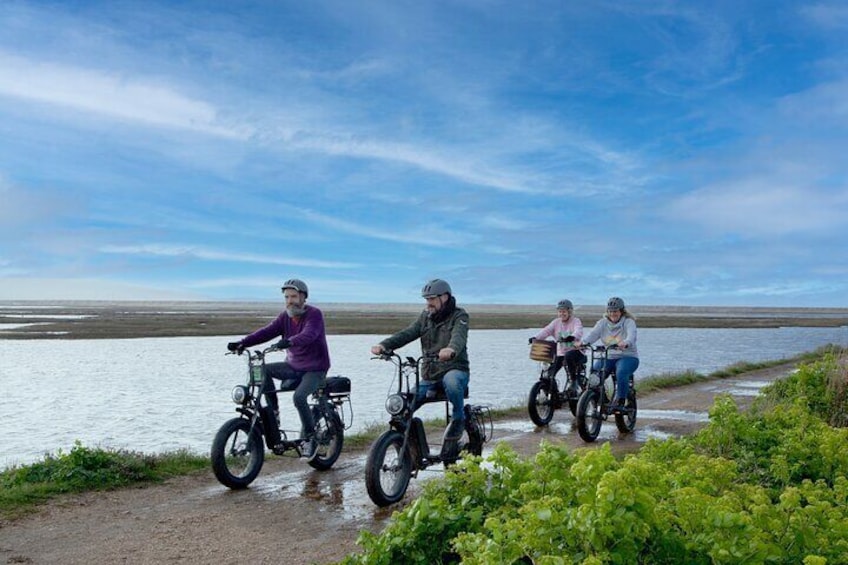 Four people riding bicycles along a path by a body of water. 1