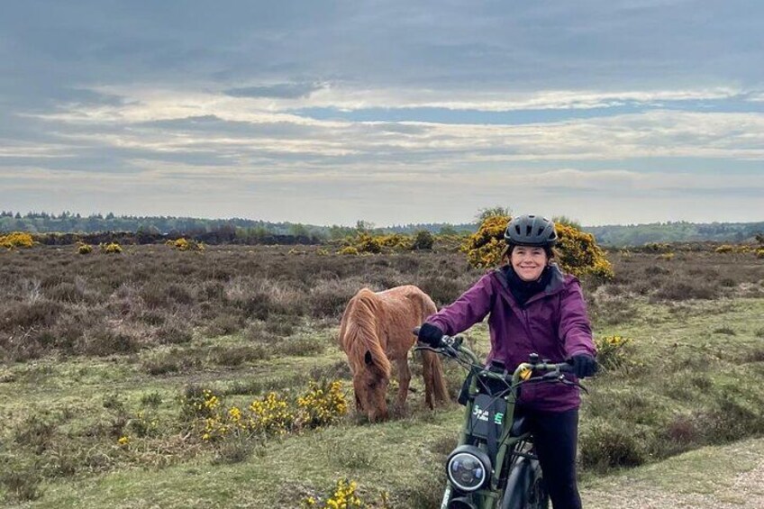 A person on a bicycle with a horse in a field. 3