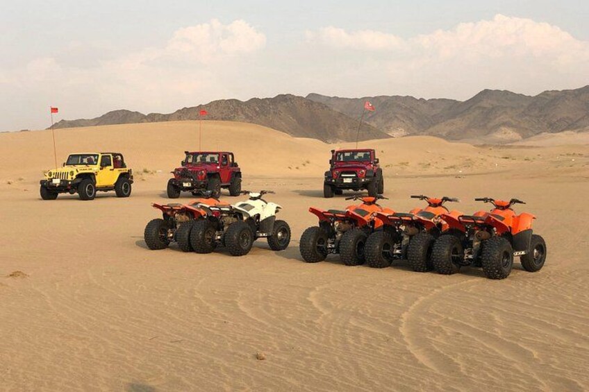 Geländewagen in einer Wüstenlandschaft mit Sanddünen und Flaggen. 4