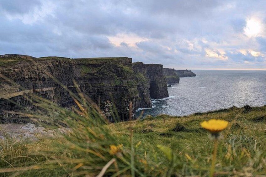 Cliffs of Moher 1