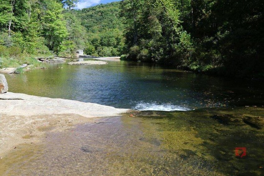 A river with clear water, surrounded by dense forest. 3