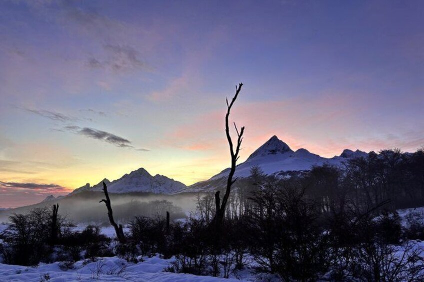Small Group Guided Trek Tour to Ojo del Albino Glacier 3