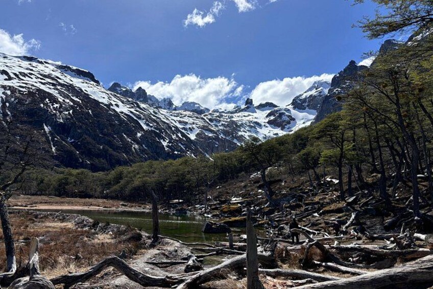 Small Group Guided Trek Tour to Ojo del Albino Glacier 5