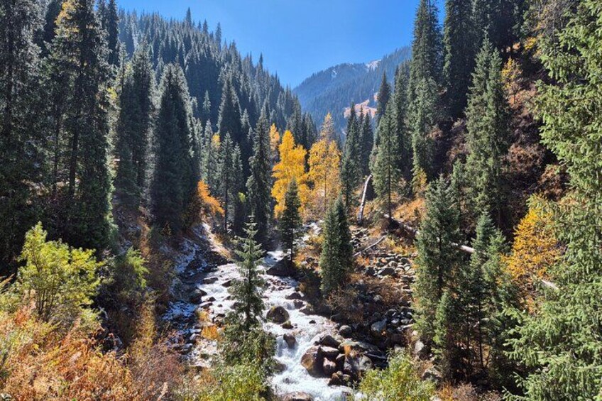 A river flowing through a forest with autumn-colored trees and mountains in the background. 1
