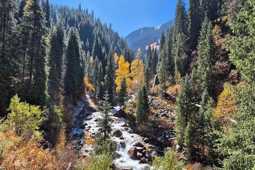 Big Almaty Lake & Alma-Arasan Gorge Tour + Birds of Prey Show 1