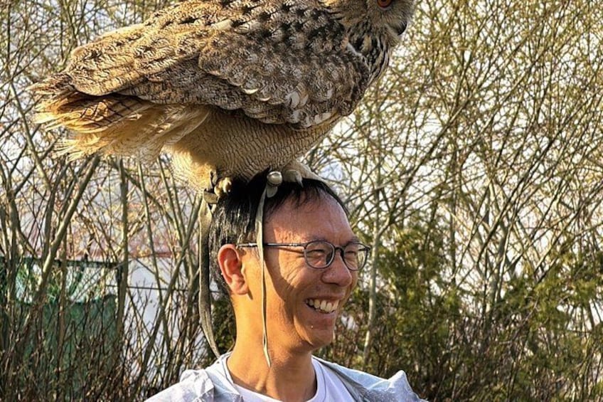 A person with an owl perched on their head. 4
