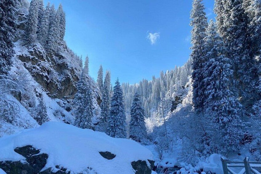 Big Almaty Lake & Alma-Arasan Gorge Tour + Birds of Prey Show 2