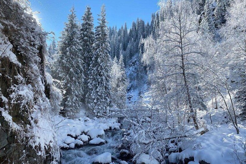 A snow-covered forest with a stream, tall evergreen trees, and a clear blue sky. 2