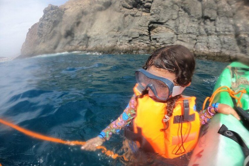 Kayak & Snorkel Safari: Look for Dolphins & Turtles in Tenerife 4