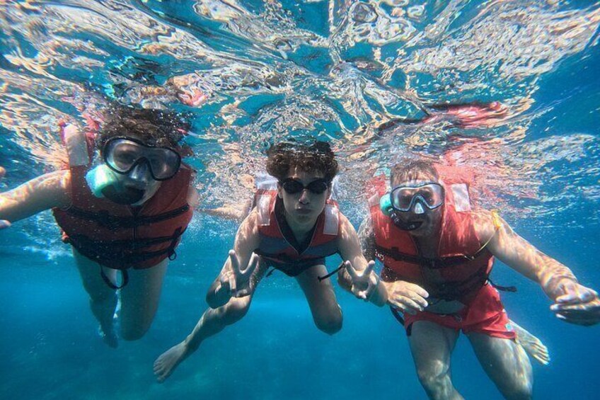 Kayak & Snorkel Safari: Look for Dolphins & Turtles in Tenerife 2