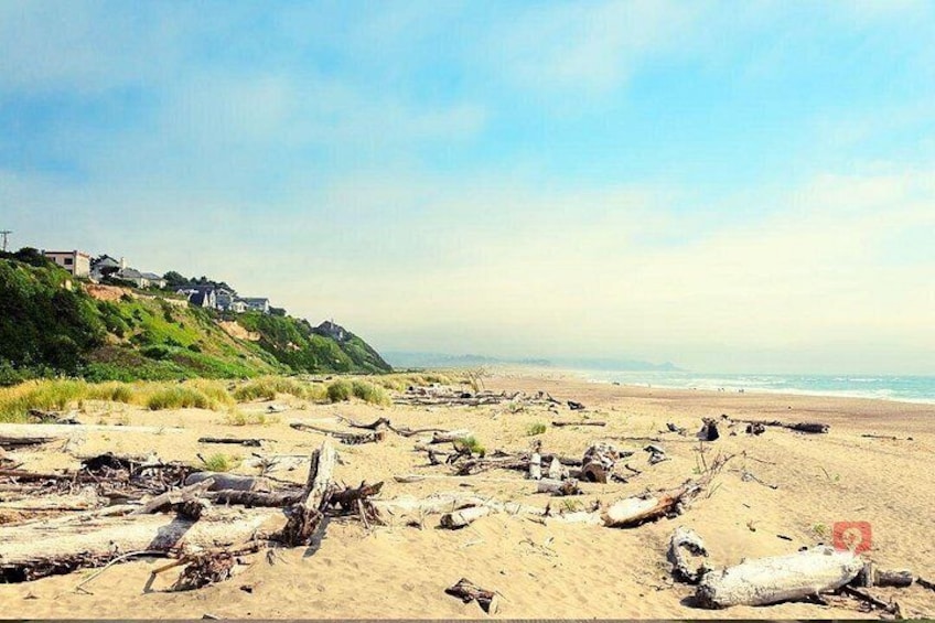 Self-Guided Audio Driving Tour in Oregon Coast 3