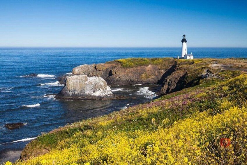 Self-Guided Audio Driving Tour in Oregon Coast 3