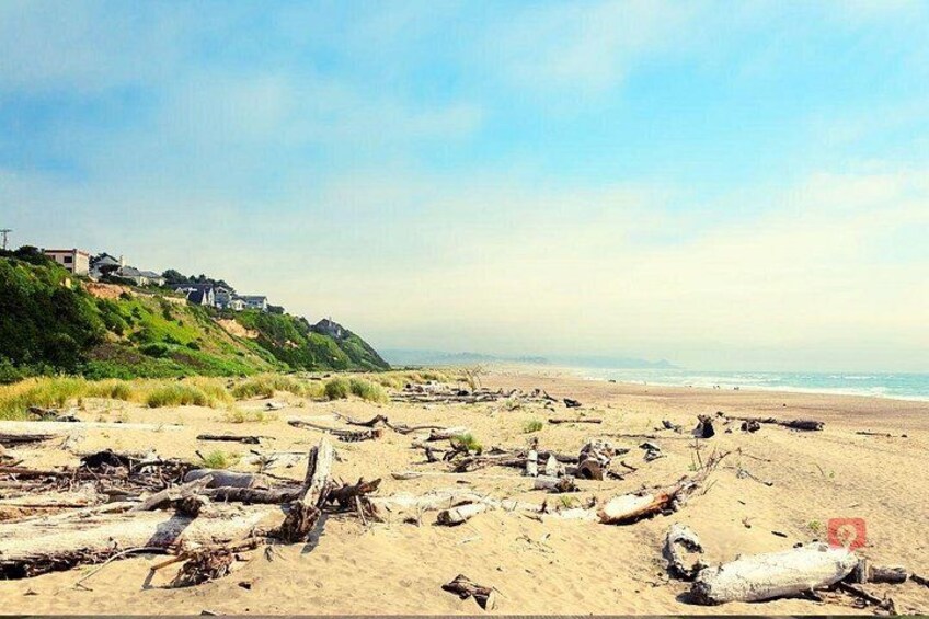 A beach with driftwood and debris, a distant shoreline with buildings, and a clear sky. 4