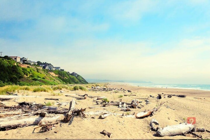 A beach with driftwood and debris, a distant shoreline with buildings, and a clear sky. 3