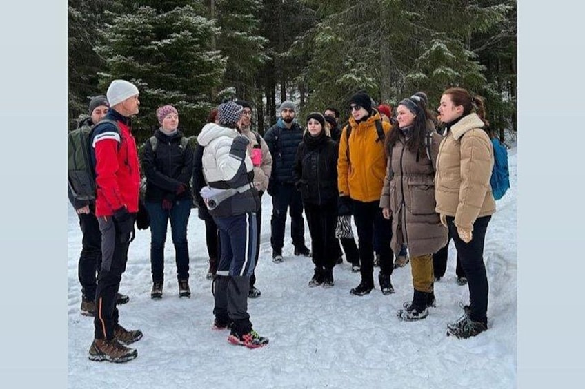 Oslo "Skogshytte" Winter Hike 3