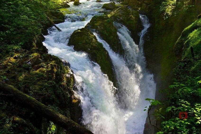 A waterfall in a forested area with moss-covered rocks and dense greenery. 2