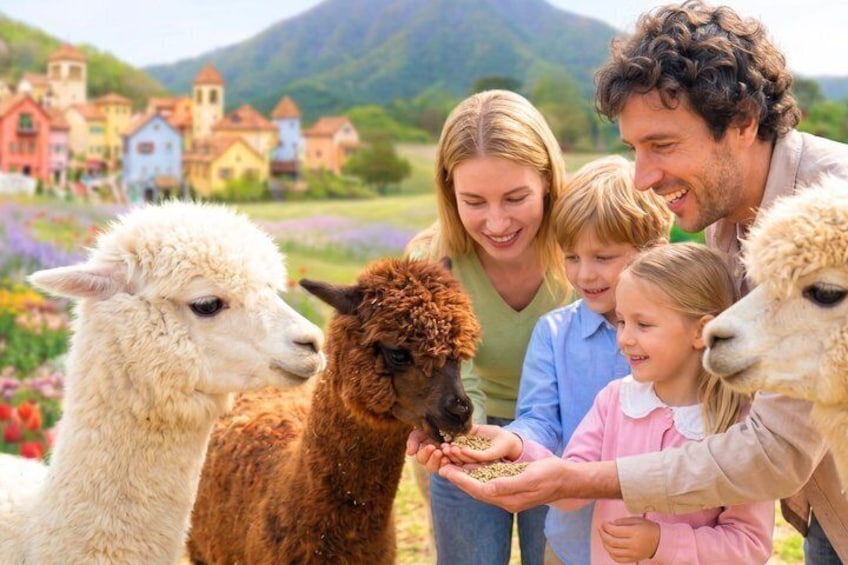 A family with llamas in a rural setting with colorful houses and a mountain in the background. 1