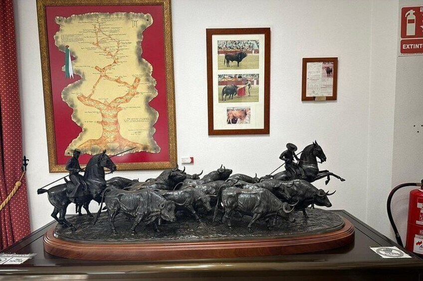 Alicante: Visit with Audio Guide Bullring and Bullfighting Museum 3