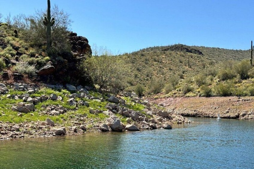A river with rocks and sparse vegetation, a hill in the background, and a clear sky. 1