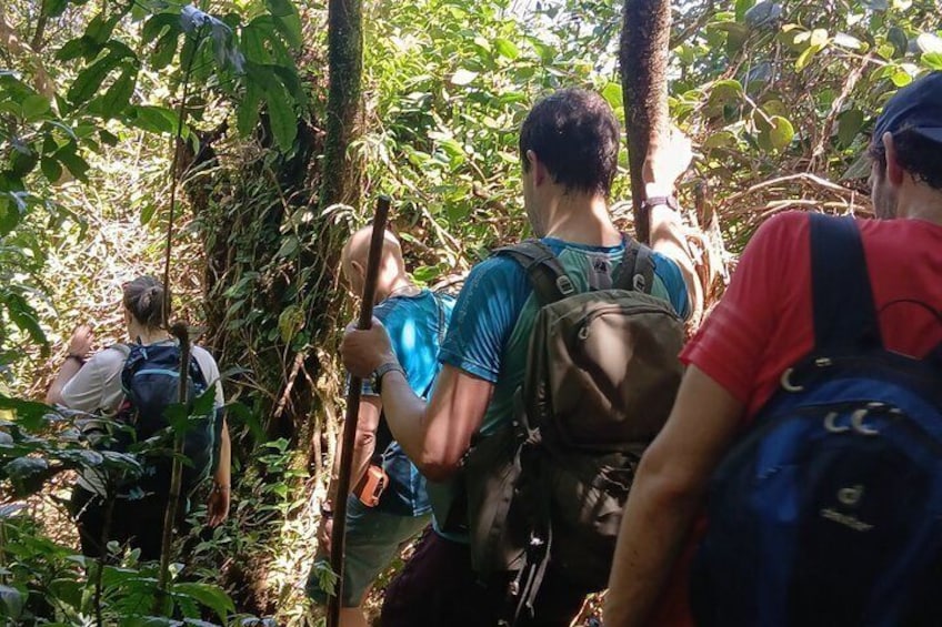 Ometepe trekking - Volcano Maderas By Happy Tours 4