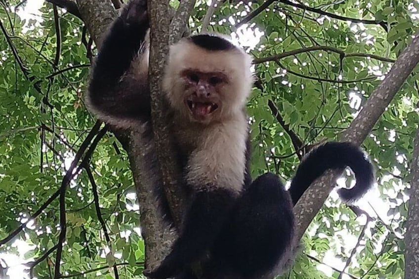 Ometepe trekking - Volcano Maderas By Happy Tours 2