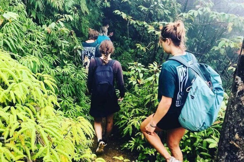 Maderas volcano path 3