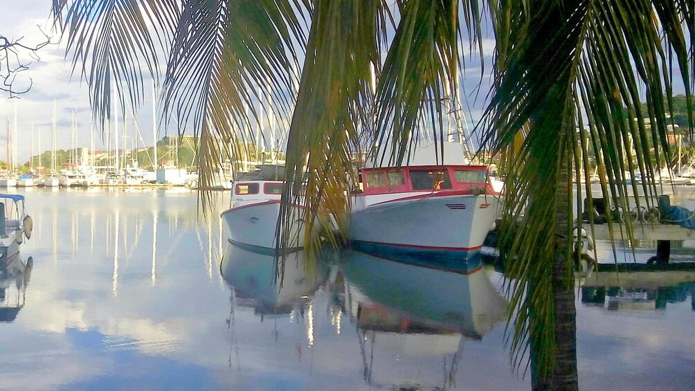 Water view in Grenada