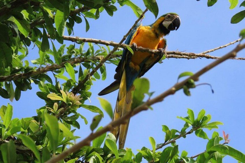 Monkey’s Creek: Hiking, Rugged Trails and wildlife Near Cartagena 3