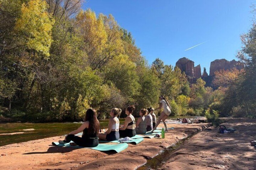 A group of people sitting on mats outdoors, surrounded by trees and a clear sky. 3