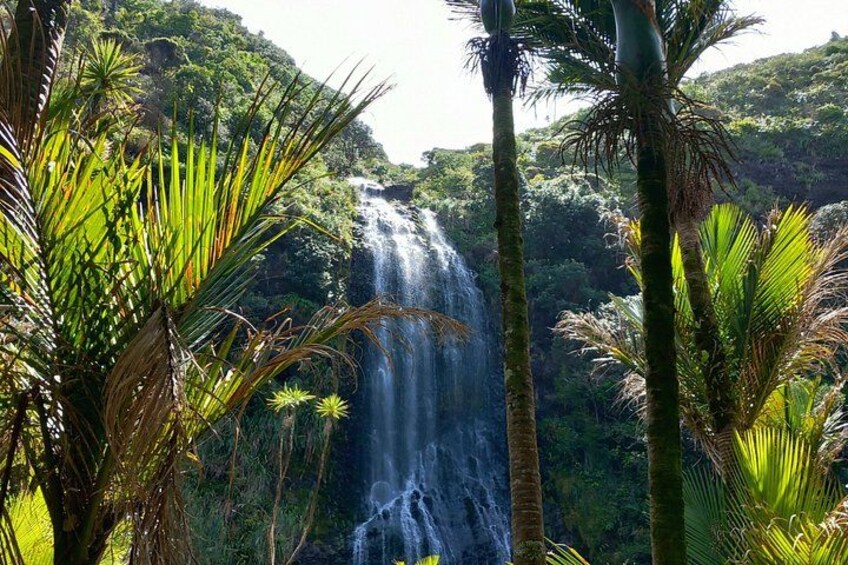 6 Hours Sightseeing Tour in Auckland 2