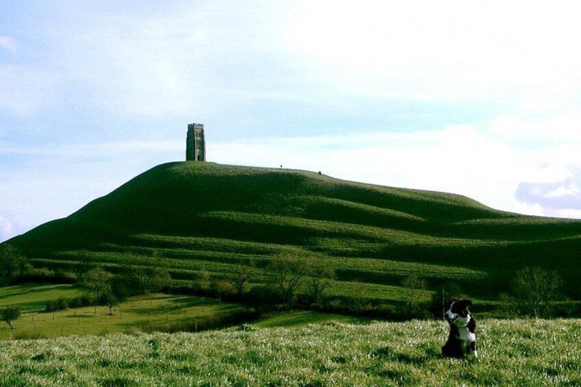 A grassy hill with a tower-like structure on top, a dog in the foreground, and a clear sky. 5