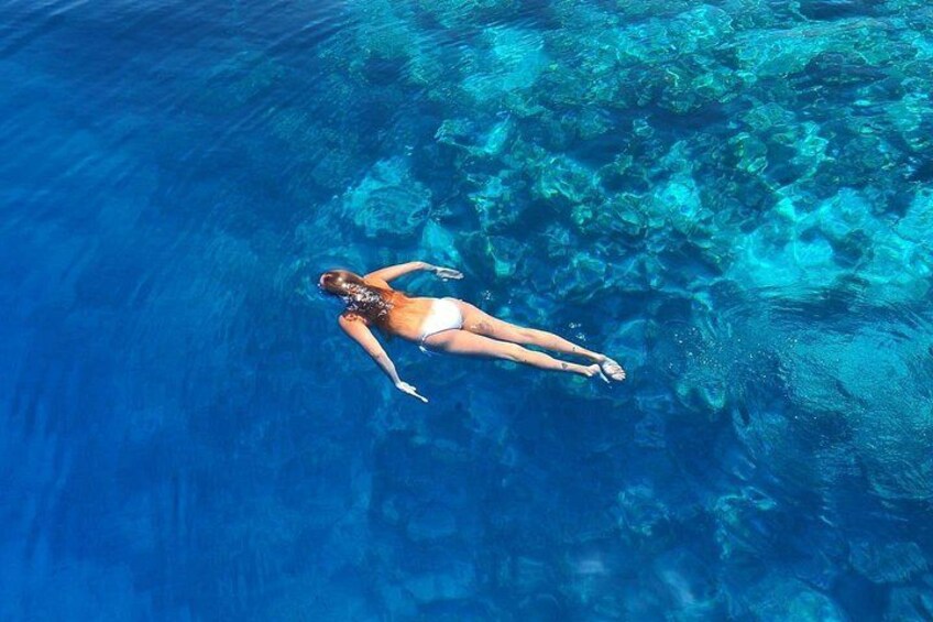 Ukulhas Tour D - Whale Shark Snorkeling & Coral Garden Tour 2