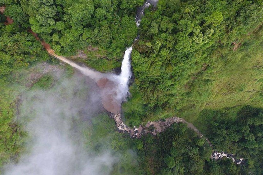Ein Wasserfall in einem üppigen, grünen Wald. 4