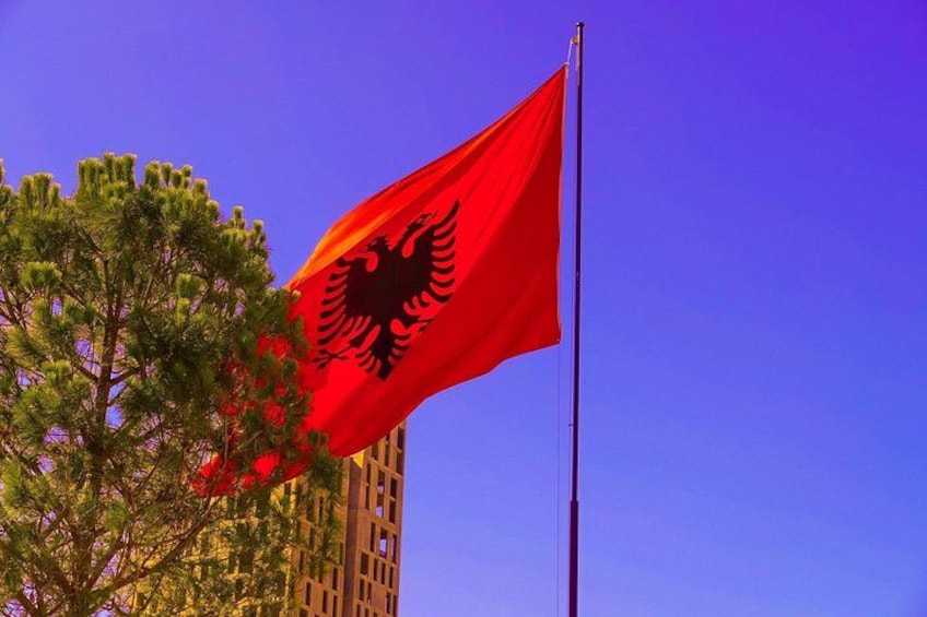 A red flag with a black eagle emblem, a tall building, and a tree with green foliage. 3