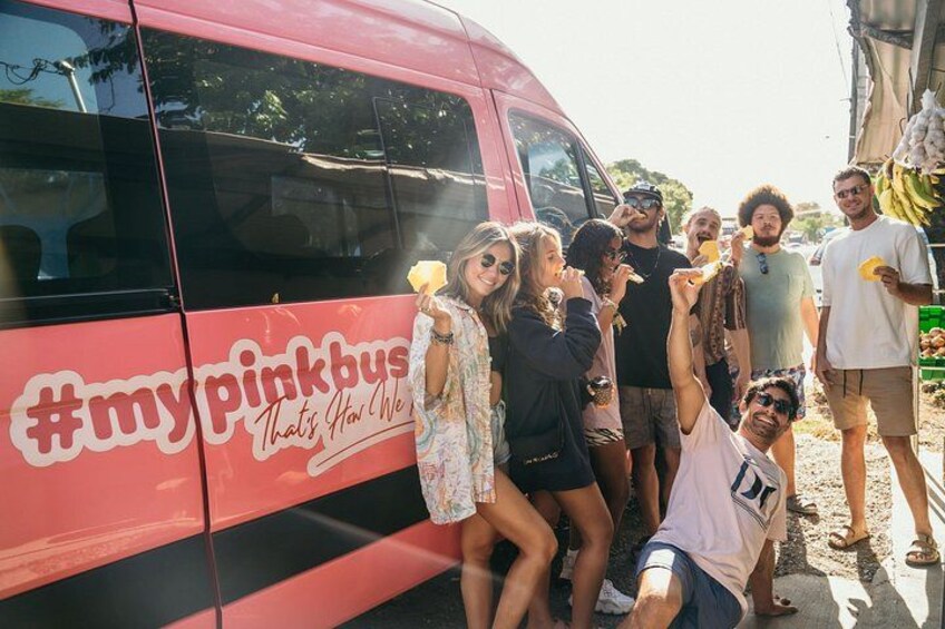 A pink bus with the hashtag #mypinkbus and the slogan 'That's How We Do It.' 1