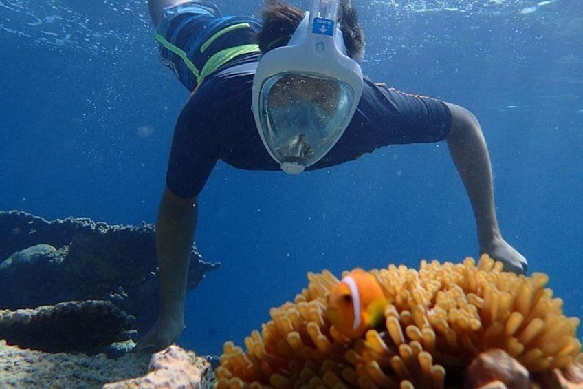 Ukulhas Tour A - 3 Points Snorkeling Tour 3