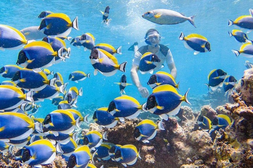 Ukulhas Tour A - 3 Points Snorkeling Tour 1