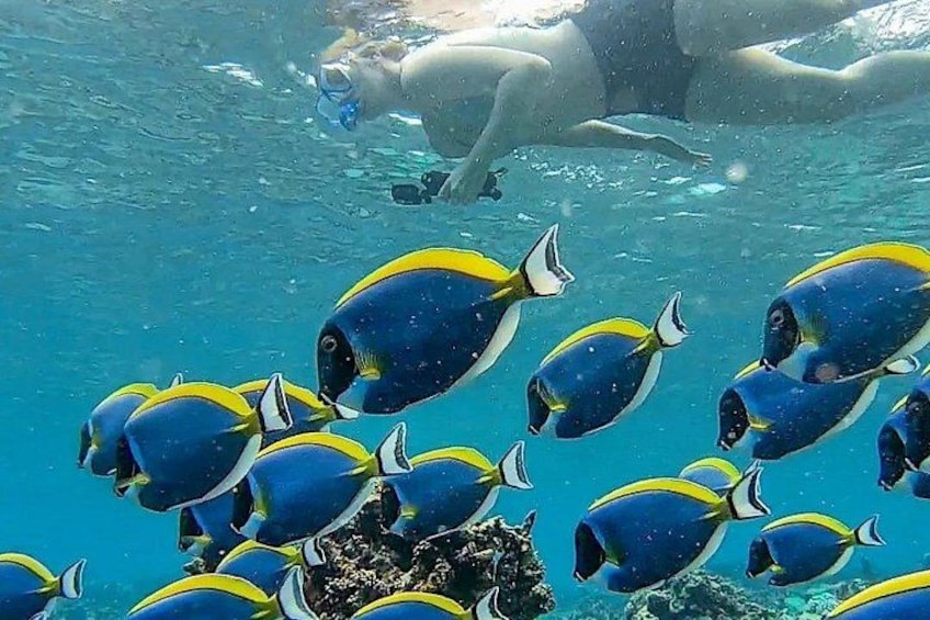 Ukulhas Tour A - 3 Points Snorkeling Tour 4