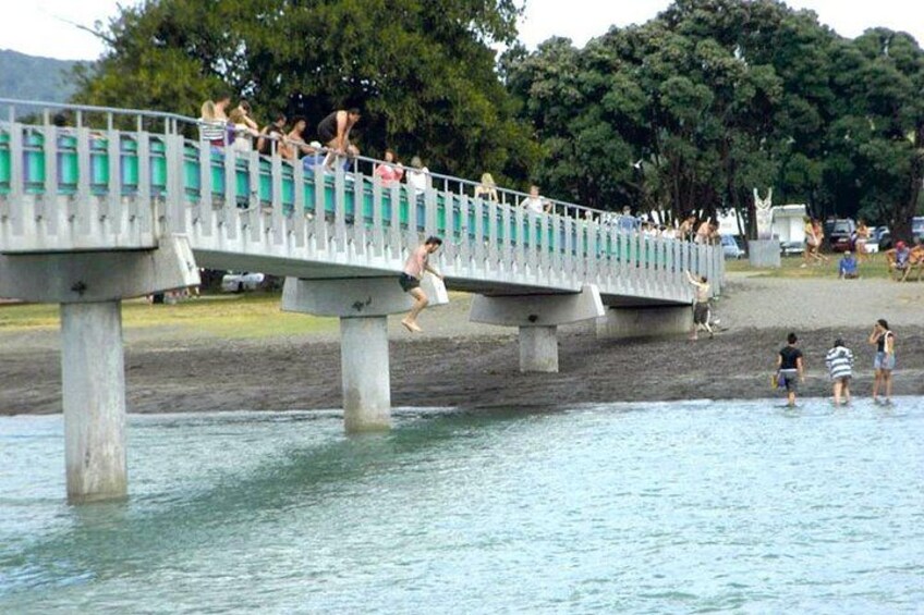 A bridge over water with people walking and jumping off. 2