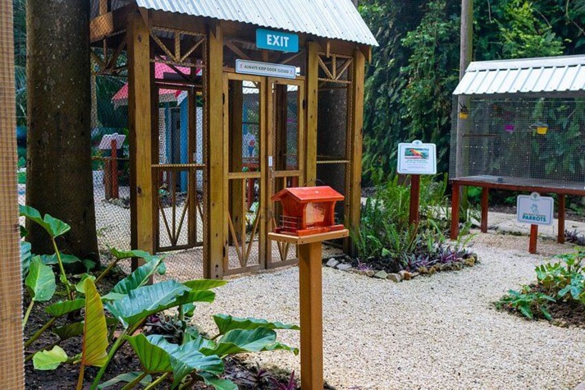 Various holding areas in the bird aviary 3