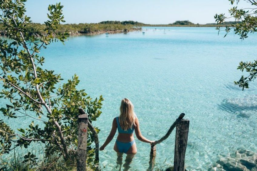 A woman in a bikini standing at the edge of a clear blue water body, surrounded by greenery. 4