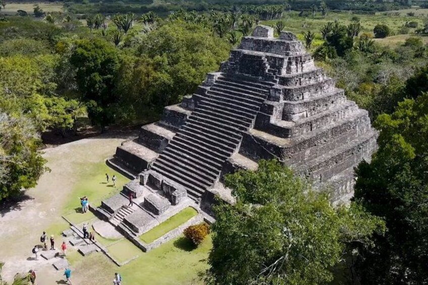 Una gran estructura en forma de pirámide rodeada de exuberante vegetación. 4