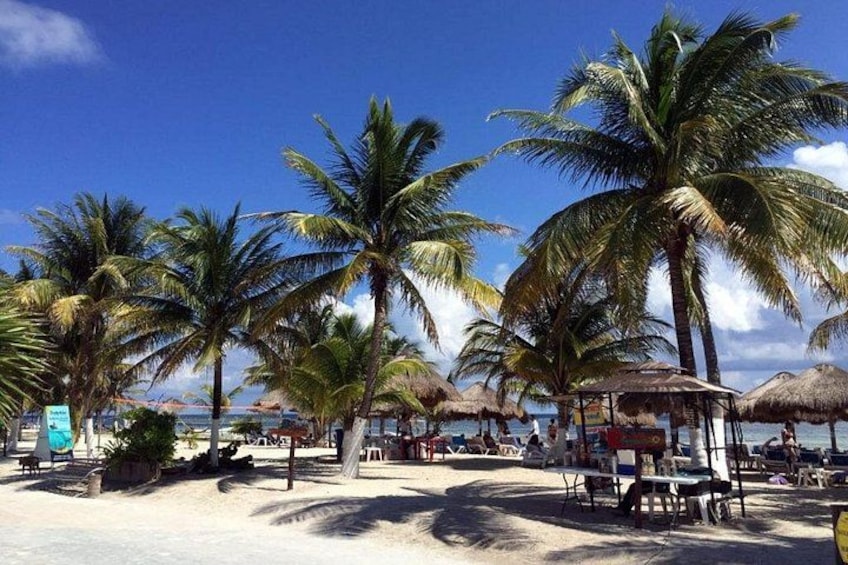 A beach with palm trees, beach umbrellas, and a small kiosk. 3