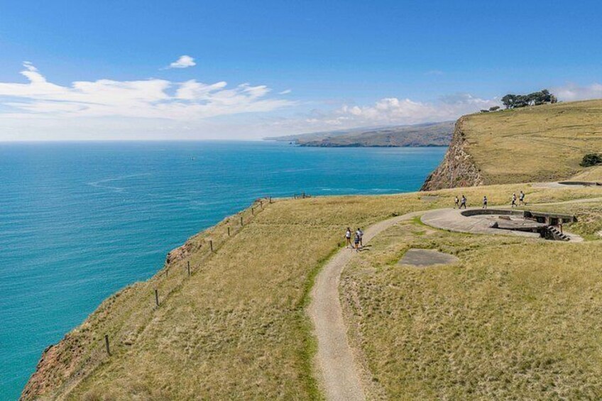Private Full-Day Godley Head Guided Coastal Hike with Picnic 2