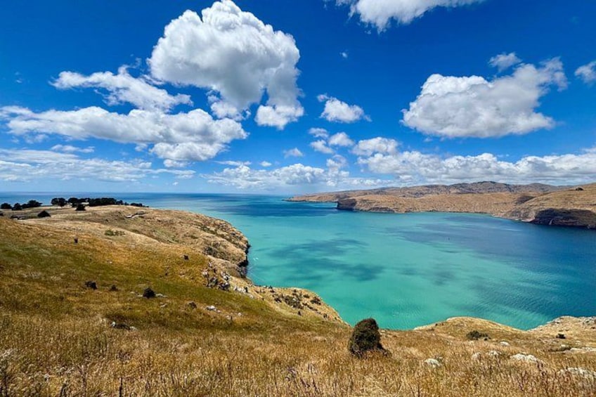 Paesaggio costiero con cielo sereno, mare turchese e dolci colline erbose. 5